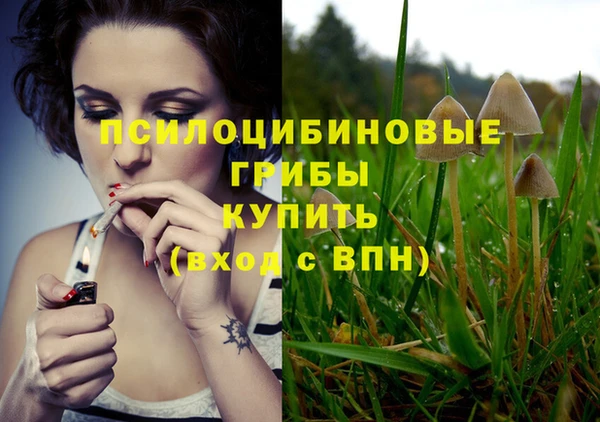 Альфа ПВП Магас