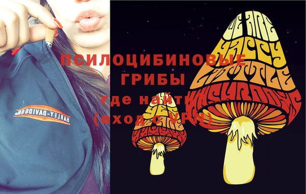 мдма Медногорск