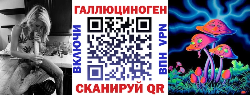 ссылка на мегу ссылка  сколько стоит  Когалым  Галлюциногенные грибы Psilocybine cubensis 