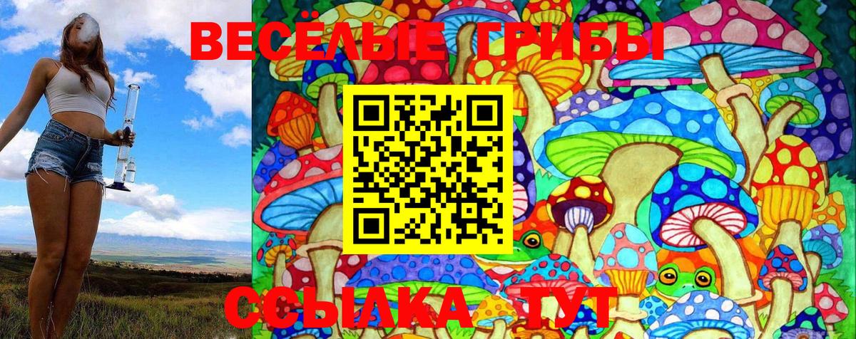 Псилоцибиновые грибы прущие грибы  купить наркотик  Когалым 