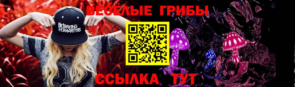 Галлюциногенные грибы Psilocybe Когалым