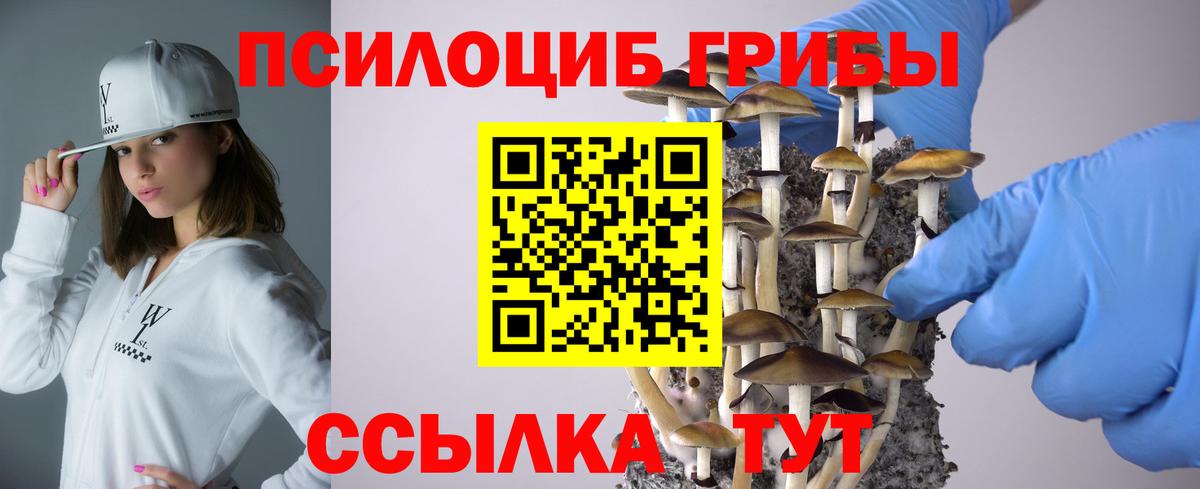 Когалым  Псилоцибиновые грибы GOLDEN TEACHER  Вход с VPN 